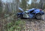 Фото Госавтоинспекция Вологодской области
