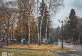 Вологда-поиск