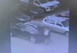 пресс-служба УМВД по Вологодской области