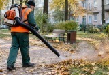 Фото сгенерировано с помощью ИИ