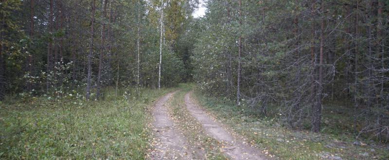 Никита Трушков