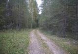 Никита Трушков