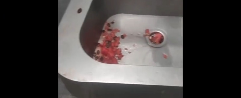 скриншот видео со страницы Сергея Жестянникова в соцсети 