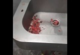 скриншот видео со страницы Сергея Жестянникова в соцсети "ВКонтакте"