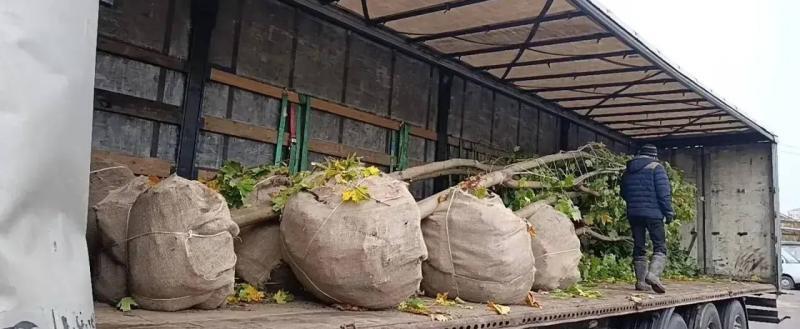 страница в соцсети Вконтакте Георгия Филимонова