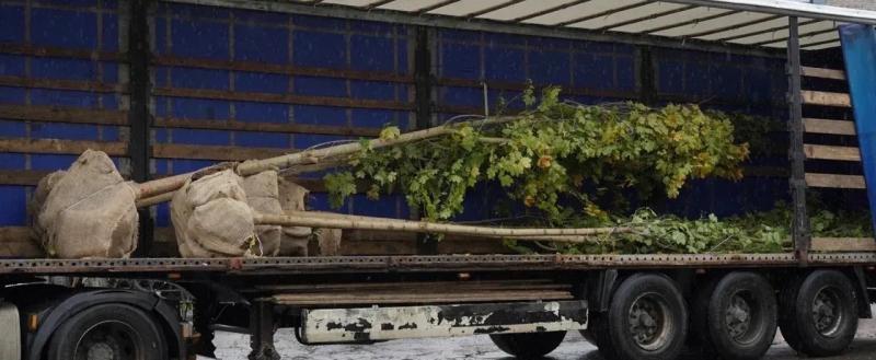 со страницы Сергея Жестянникова в соцсети 