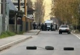 guberniya.tv