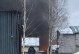 Появились подробности пожара на складе "Аллея Мебели" ( ФОТО, ВИДЕО) 