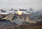 В Вологодской области задержали серийных дачных воров и поджигателей (ФОТО) 