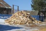 В Череповецком районе поймали «черного лесоруба», спилившего 130 деревьев (ФОТО)