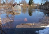 Паводок в Вологодской области: поселок в Кадуйском районе уходит под воду (ВИДЕО,ФОТО) 