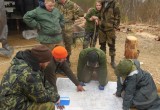 Сотней бойцов вологодского поискового отряда найдены 127 бойцов отечественной войны