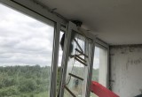 В Череповце спасли енотиху Машу, которая могла упасть с пятого этажа (ФОТО) 