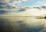 В Рыбинском водохранилище обнаружены опасные для человека водоросли