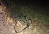 ДТП с одним погибшим: на Вологодчине иномарка сбила велосипедиста 