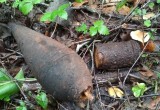 Боеприпасы времен ВОВ нашли в Вытегорском районе под Оштой (ФОТО)