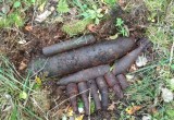Боеприпасы времен ВОВ нашли в Вытегорском районе под Оштой (ФОТО)