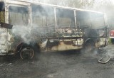 В Вологодской области на ходу загорелся рейсовый автобус (ФОТО) 