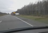 Две фуры на трассе "Вологда - Новая Ладога" оказались в кювете (ФОТО, ВИДЕО) 