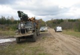 В Бабушкинском районе очередной «чёрный лесоруб» попался в руки правоохранителей (ФОТО) 