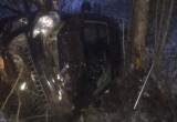 Вологжанка на "Пежо" едва не убилась сама и не убила пассажиров: Машина в кювете, пассажир в больнице (ФОТО) 