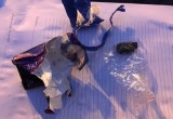 Череповчан, которые хотели продать крупную партию метамфетамина, задержали полицейские (ФОТО)