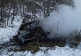 В Вологодской области полностью сгорела новая иномарка (ФОТО) 