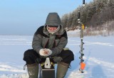 В Вологодской области прошел чемпионат по рыбной ловле