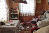 Шекснинский бомж красиво жил в чужой даче, обворовывая домики соседей (ФОТО) 