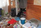 Шекснинский бомж красиво жил в чужой даче, обворовывая домики соседей (ФОТО) 