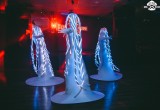 Клуб-ресторан "СССР" 14 апреля 2017г, Световое шоу "СЕЛЕБРИТИ" г. Тольятти
