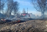 Крупный пожар под Череповцом: дачная деревня превратилась в пепелище