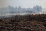 Три дома сгорели в деревне под Устюжной из-за неадекватного жильца (ФОТО)