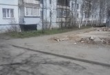 Вологда не в порядке: Панкратова