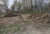 Вологда не в порядке: Новгородская