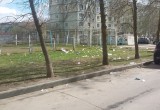 Вологда не в порядке: Новгородская, 33 - мусорная реформа в действии