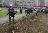 Аллею из 60 деревьев высадили вологодские газовики во Фрязиновском парке
