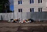 Опять свалка мусора в Вологде