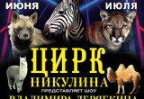 Шоу Владимира Дерябкина «Мир Джунглей»