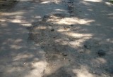 Вологда не в порядке: безобразное состояние тротуара в Бывалово