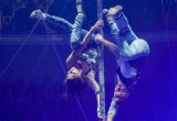 Уже в эти выходные! Цирк Никулина приглашает на новое шоу Владимира Дерябкина «Мир Джунглей»