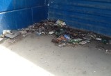 Вологда не в порядке: опять куча мусора и окурков