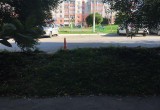 7-летний мальчик попал под колеса автомобиля в Вологде