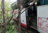 Рейсовый автобус съехал в кювет на автодороге Кириллов-Череповец, есть пострадавшие