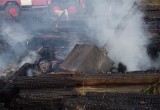 Пилорама сгорела в Кирилловском районе