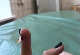 Ни фига себе на маникюр сходила! Юная посетительница салона красоты чуть не осталась без пальцев