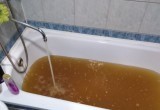 Жители Грязовца просят депутата Холодова решить проблему с качеством воды 