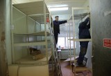 300 коек в Вологде и 300 в Череповце будут готовы на всякий случай для больных, сообщил губернатор 