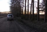 У тайника в лесу вологжанина и башкира встретила полиция (ФОТО)