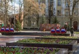 Андрей Луценко поздравил с Днем Победы ветеранов и возложил цветы к мемориалу «Вечный огонь Славы» в Вологде